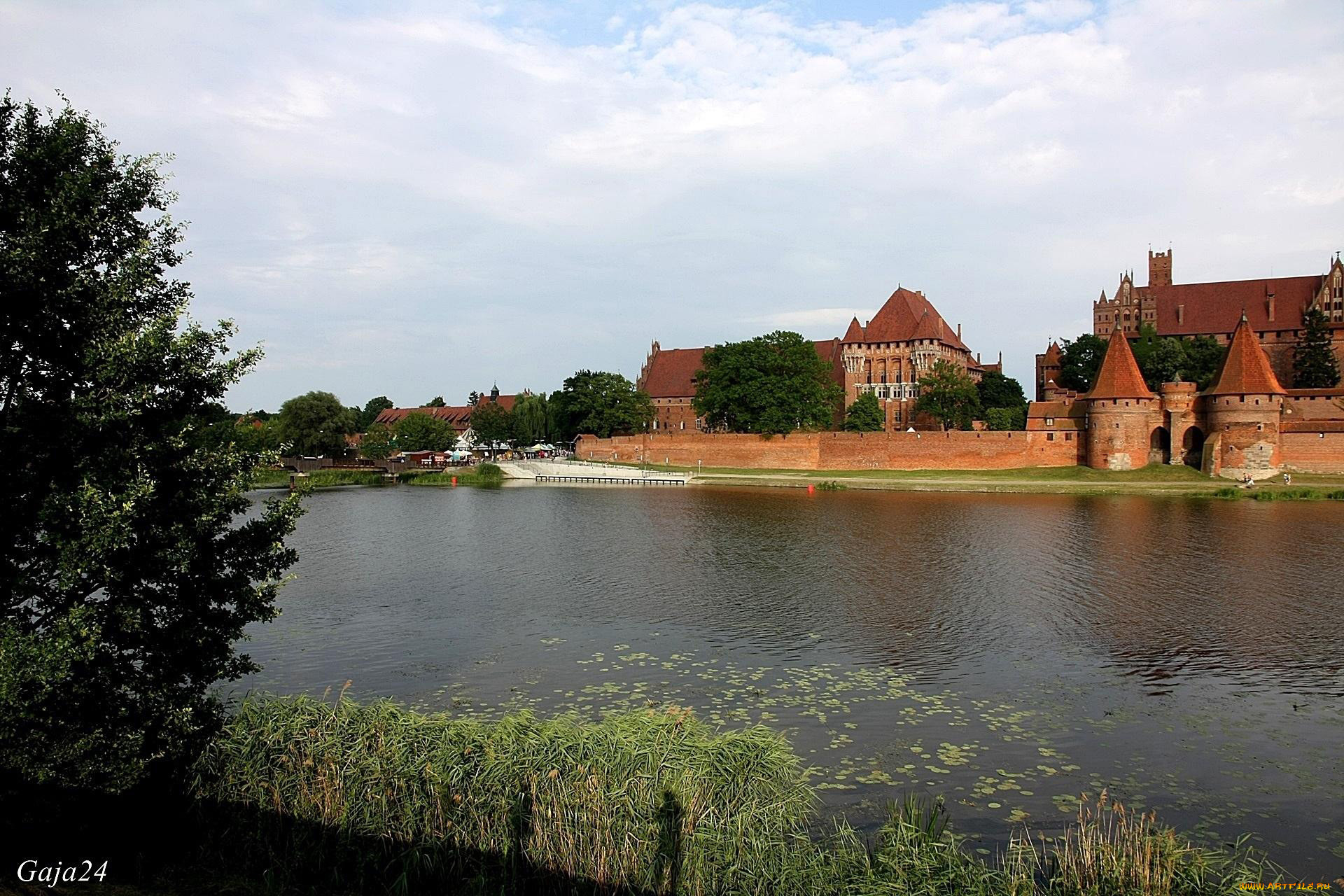 malbork castle, ,  , malbork, castle